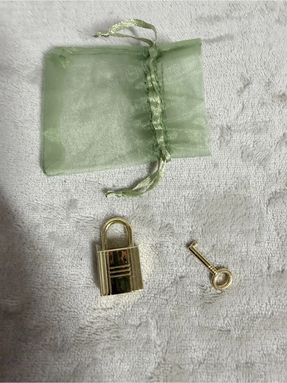 Gold Padlock and Key Set with Light Green Organza Pouch